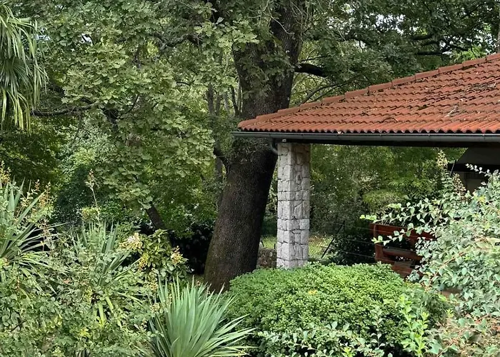 Ferienhaus With A - C In 55200 Tribalj (Primorsko-Goranska)